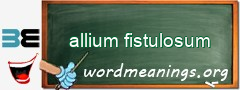 WordMeaning blackboard for allium fistulosum